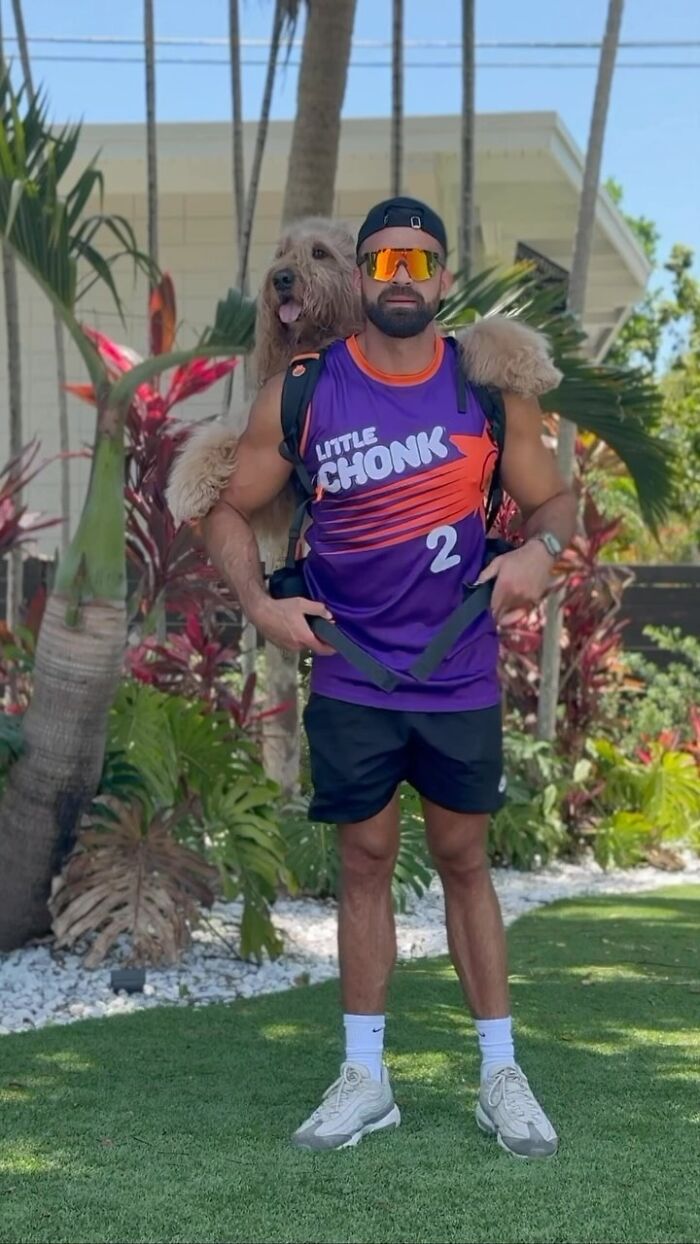 44 Adorable Photos Of Dogs In Backpacks Enjoying City Adventures