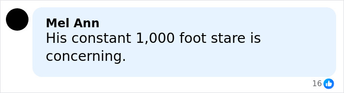 &ldquo;Ban Them For Life&rdquo;: Melania Trump Accused Of Threatening Guests For Breaking Mar-a-Lago Rules