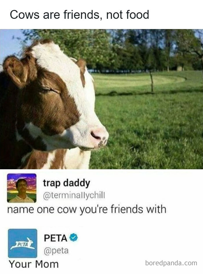 76 Hilarious Memes For Anyone Who Enjoys Their Humor With A Touch Of Darkness