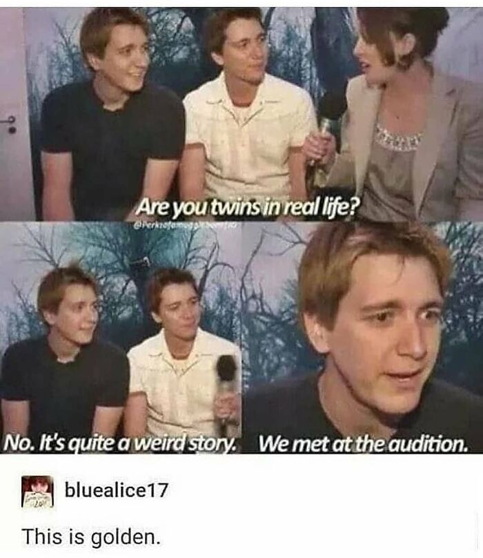 76 Hilarious Memes For Anyone Who Enjoys Their Humor With A Touch Of Darkness