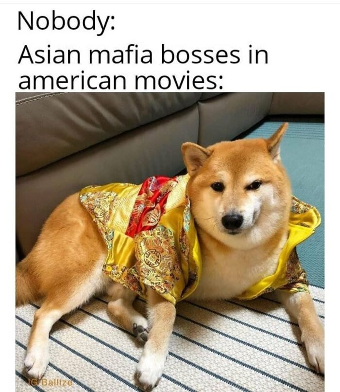 76 Hilarious Memes For Anyone Who Enjoys Their Humor With A Touch Of Darkness