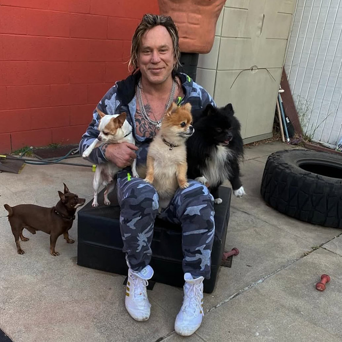 “9 1/2 Weeks To Vacate”: Unrecognizable Mickey Rourke Faces Eviction From LA Home Over $60K Unpaid Rent