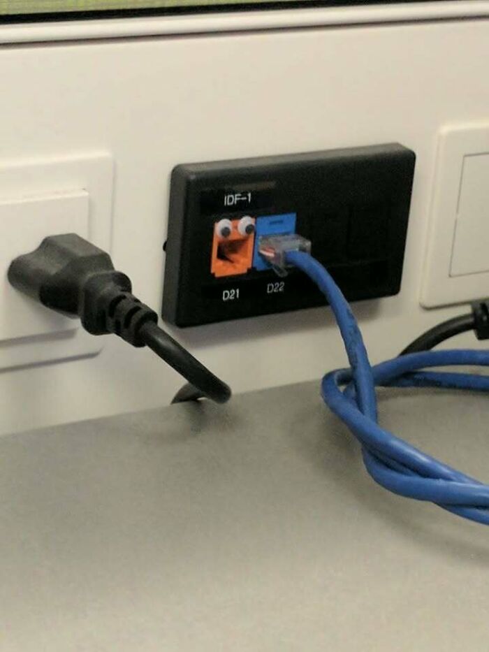 58 Random Pics That Make You Laugh Before You Know Why