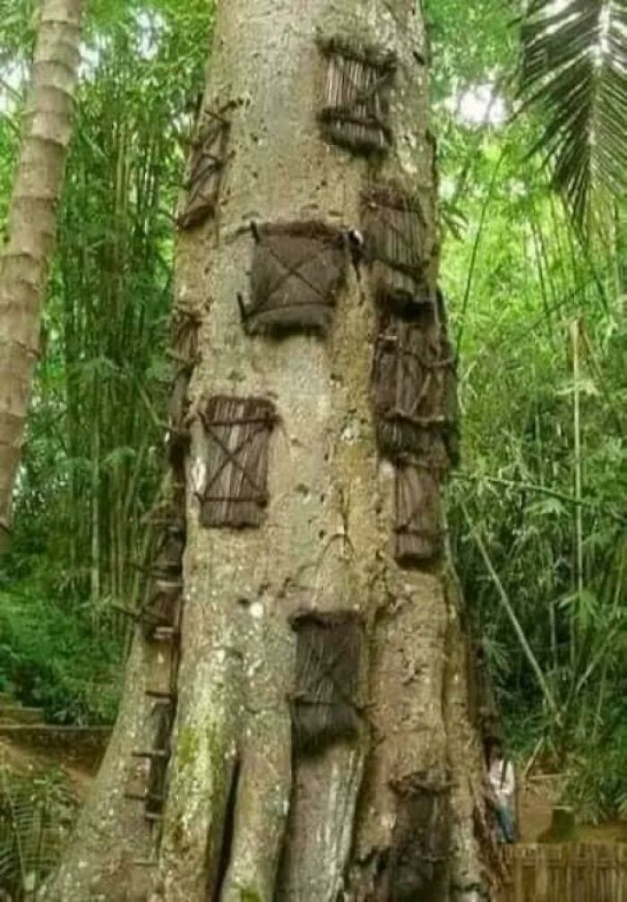 &ldquo;Interesting But Creepy&rdquo;: 30 Photos That Might Fascinate And Disturb You (New Pics)