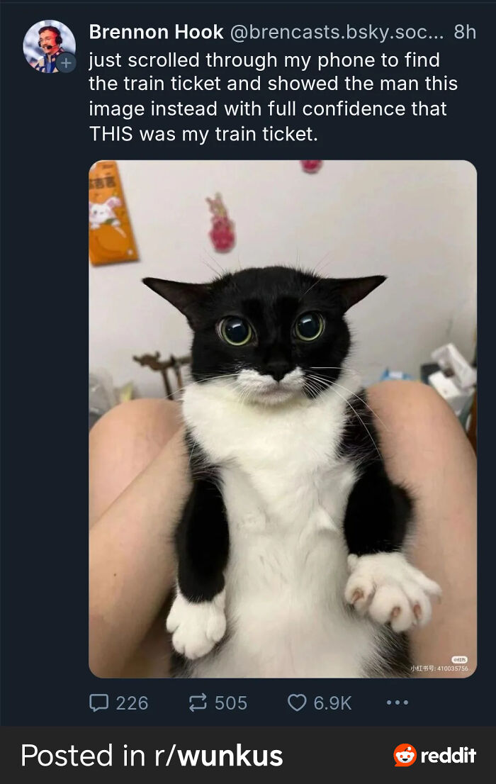 109 Feline Employees Who Deserve A Raise For Being This Cute (New Pics)