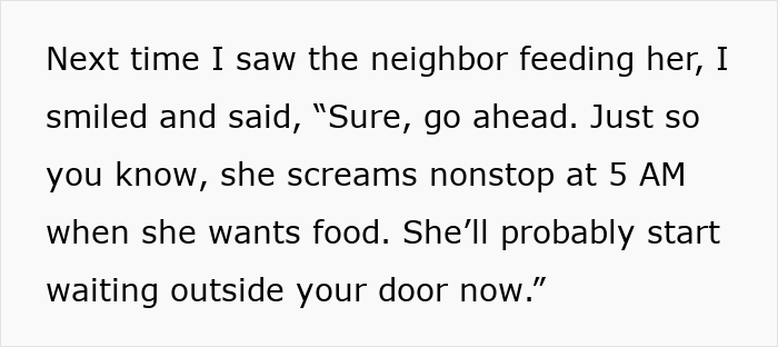 Woman Ignores Neighbor’s Warning To Stop Feeding Their Cat, Starts Getting 5 AM Wake-Up Meows Woman Ignores Neighbor’s Warning To Stop Feeding Their Cat, Starts Getting 5 AM Wake-Up Meows