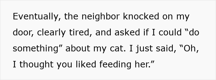 Woman Ignores Neighbor’s Warning To Stop Feeding Their Cat, Starts Getting 5 AM Wake-Up Meows Woman Ignores Neighbor’s Warning To Stop Feeding Their Cat, Starts Getting 5 AM Wake-Up Meows