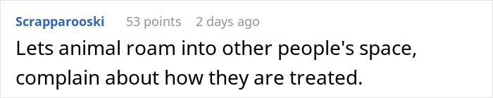 Woman Ignores Neighbor’s Warning To Stop Feeding Their Cat, Starts Getting 5 AM Wake-Up Meows Woman Ignores Neighbor’s Warning To Stop Feeding Their Cat, Starts Getting 5 AM Wake-Up Meows