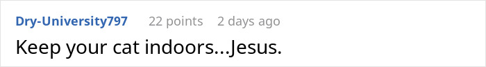 Woman Ignores Neighbor’s Warning To Stop Feeding Their Cat, Starts Getting 5 AM Wake-Up Meows Woman Ignores Neighbor’s Warning To Stop Feeding Their Cat, Starts Getting 5 AM Wake-Up Meows