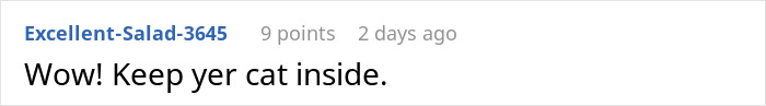 Woman Ignores Neighbor’s Warning To Stop Feeding Their Cat, Starts Getting 5 AM Wake-Up Meows Woman Ignores Neighbor’s Warning To Stop Feeding Their Cat, Starts Getting 5 AM Wake-Up Meows