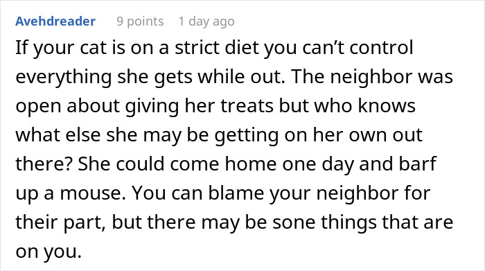 Woman Ignores Neighbor’s Warning To Stop Feeding Their Cat, Starts Getting 5 AM Wake-Up Meows Woman Ignores Neighbor’s Warning To Stop Feeding Their Cat, Starts Getting 5 AM Wake-Up Meows