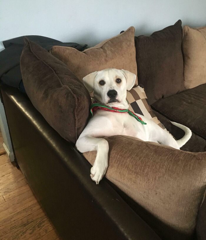 55 Funny Pictures From 2025 That Perfectly Capture The Weirdness Of Last Year