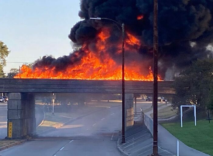 67 Times People Found The Weirdest Things In The Streets