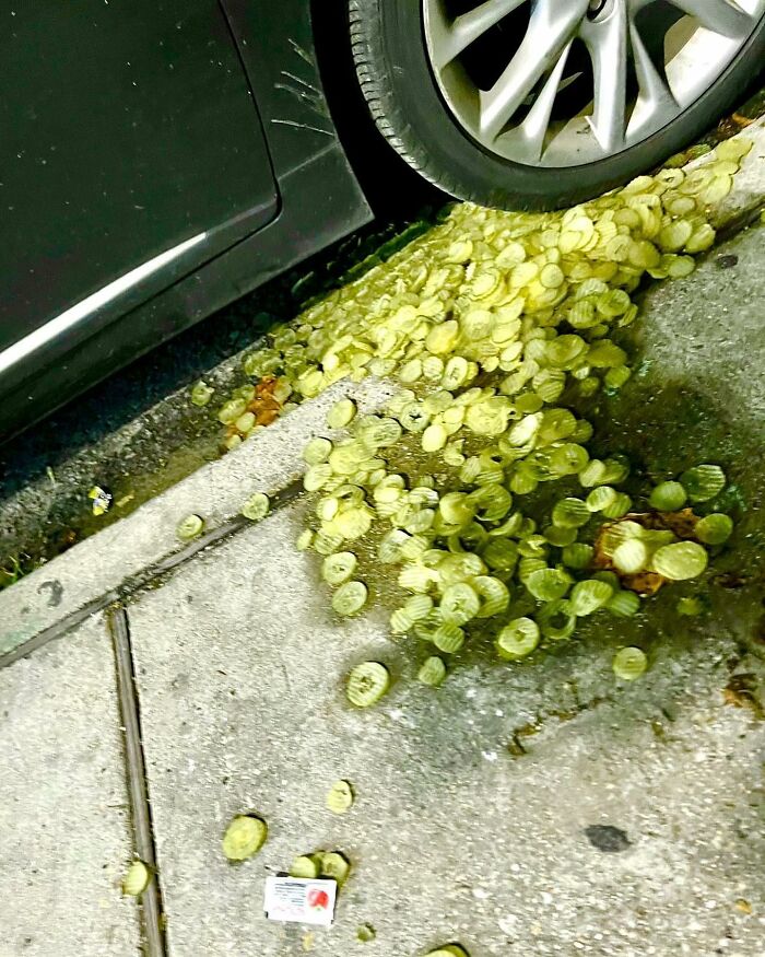 67 Times People Found The Weirdest Things In The Streets