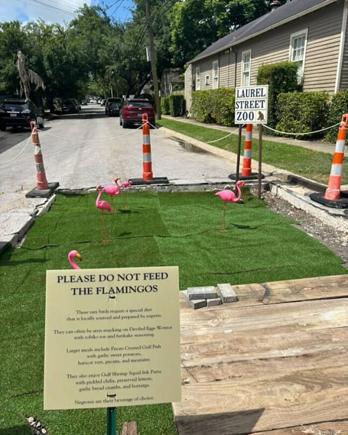 67 Times People Found The Weirdest Things In The Streets