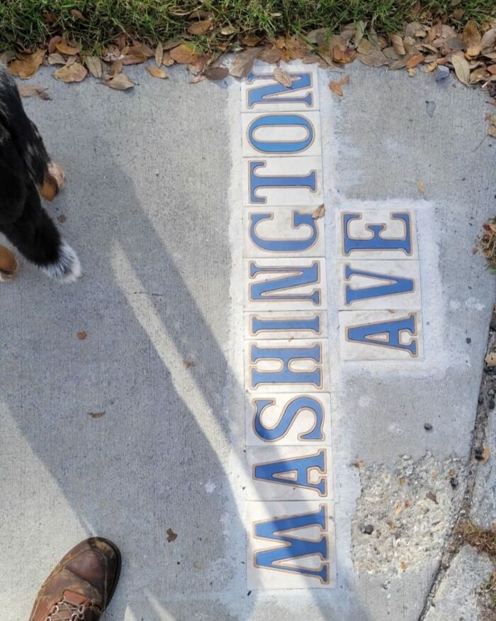 67 Times People Found The Weirdest Things In The Streets