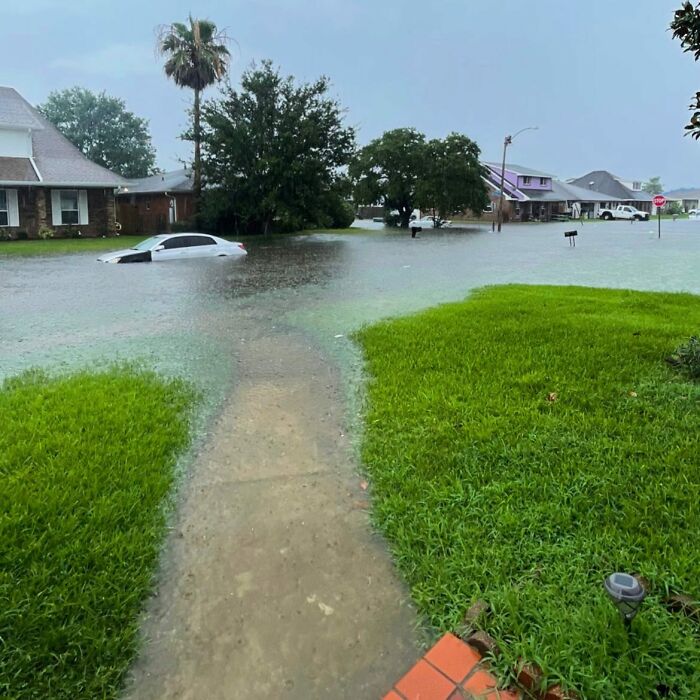 67 Times People Found The Weirdest Things In The Streets