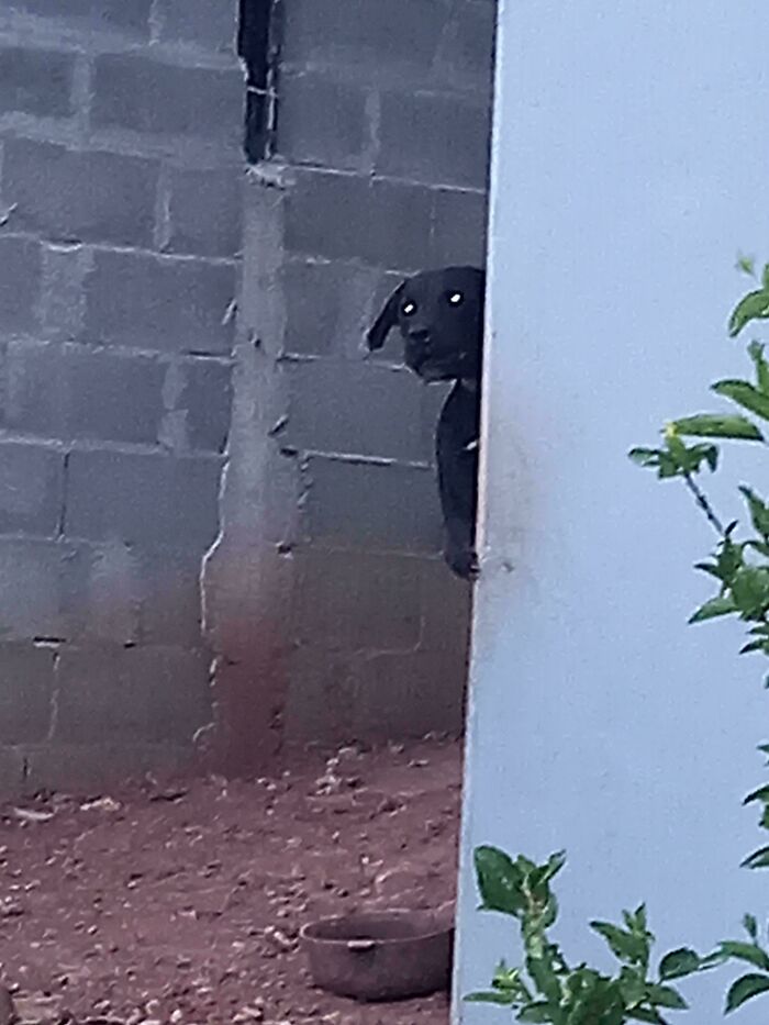 82 Of The Scariest Posts Shared Online 82 Of The Scariest Posts Shared Online