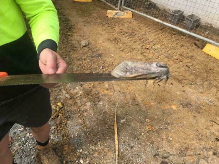 82 Of The Scariest Posts Shared Online 82 Of The Scariest Posts Shared Online