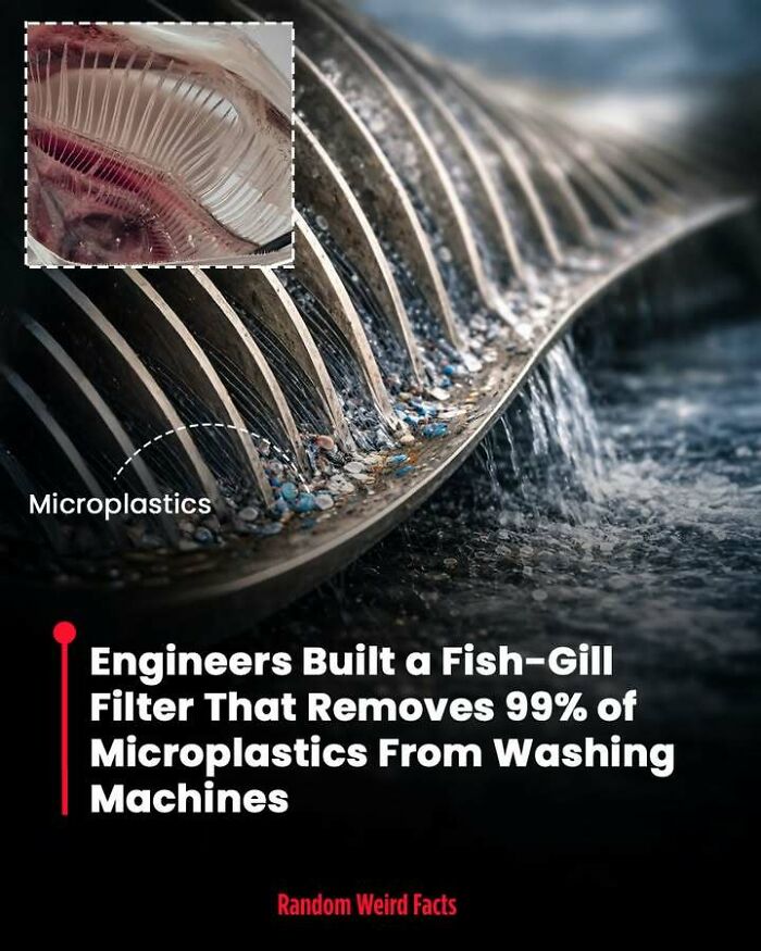 100 Interesting Facts That May Make You Rethink Things You Thought You Understood 100 Interesting Facts That May Make You Rethink Things You Thought You Understood