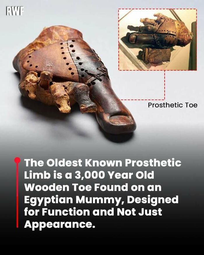 100 Interesting Facts That May Make You Rethink Things You Thought You Understood 100 Interesting Facts That May Make You Rethink Things You Thought You Understood