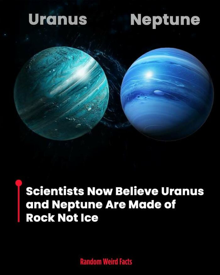 100 Interesting Facts That May Make You Rethink Things You Thought You Understood 100 Interesting Facts That May Make You Rethink Things You Thought You Understood