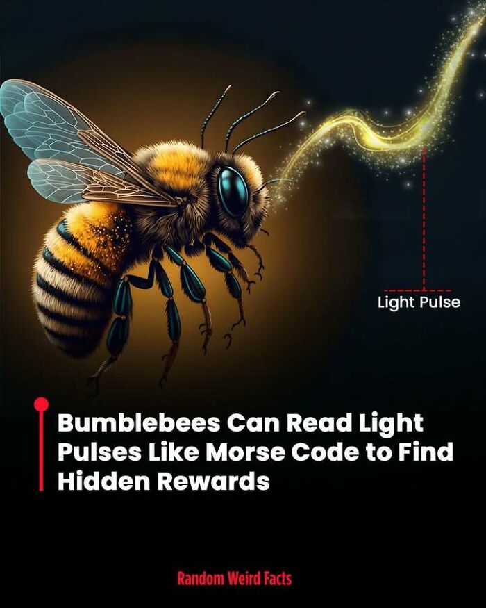 100 Interesting Facts That May Make You Rethink Things You Thought You Understood 100 Interesting Facts That May Make You Rethink Things You Thought You Understood