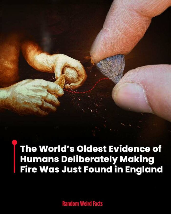 100 Interesting Facts That May Make You Rethink Things You Thought You Understood 100 Interesting Facts That May Make You Rethink Things You Thought You Understood