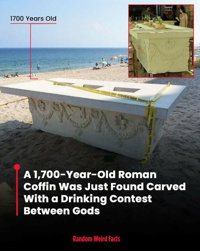 100 Interesting Facts That May Make You Rethink Things You Thought You Understood 100 Interesting Facts That May Make You Rethink Things You Thought You Understood