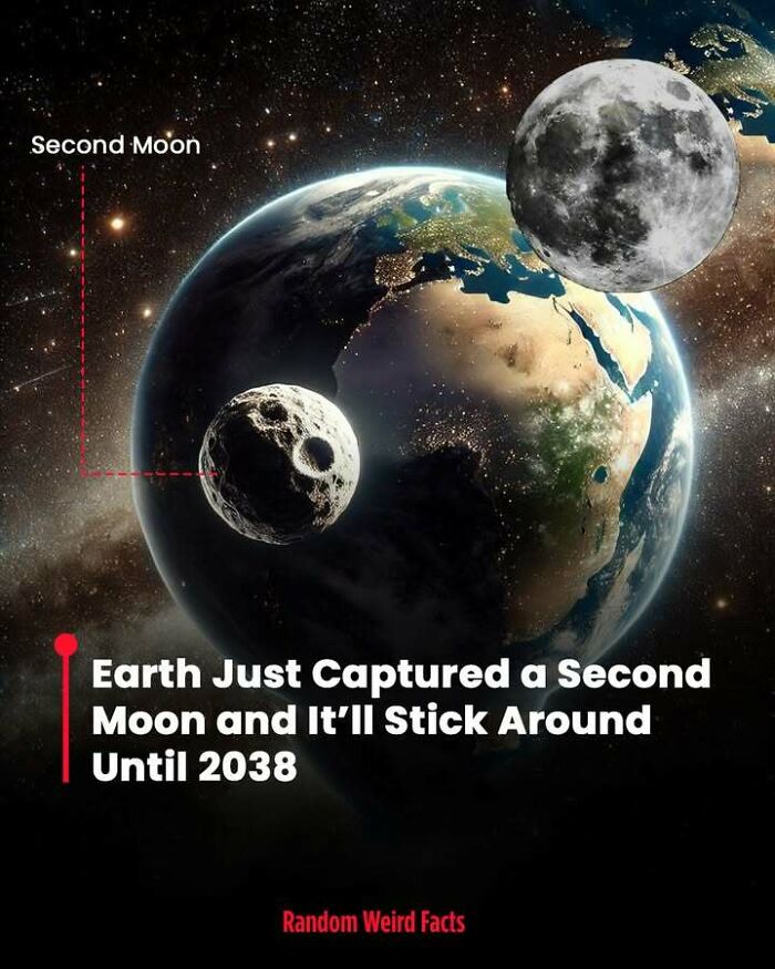 100 Interesting Facts That May Make You Rethink Things You Thought You Understood 100 Interesting Facts That May Make You Rethink Things You Thought You Understood