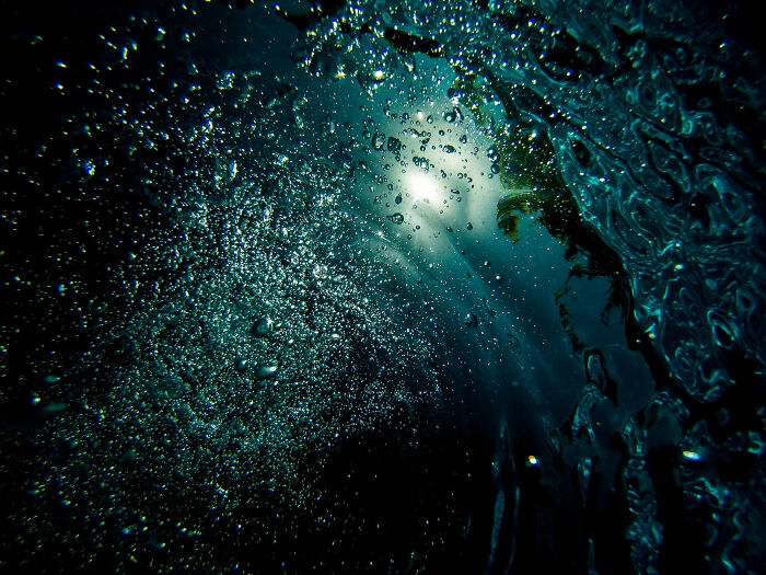 32 Moments People Faced Something So Weird Or Incredible They Still Hardly Believe It Was True 32 Moments People Faced Something So Weird Or Incredible They Still Hardly Believe It Was True