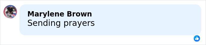 Email Rob Reiner&rsquo;s Wife Michele Reportedly Sent Hours Before Tragedy Surfaces