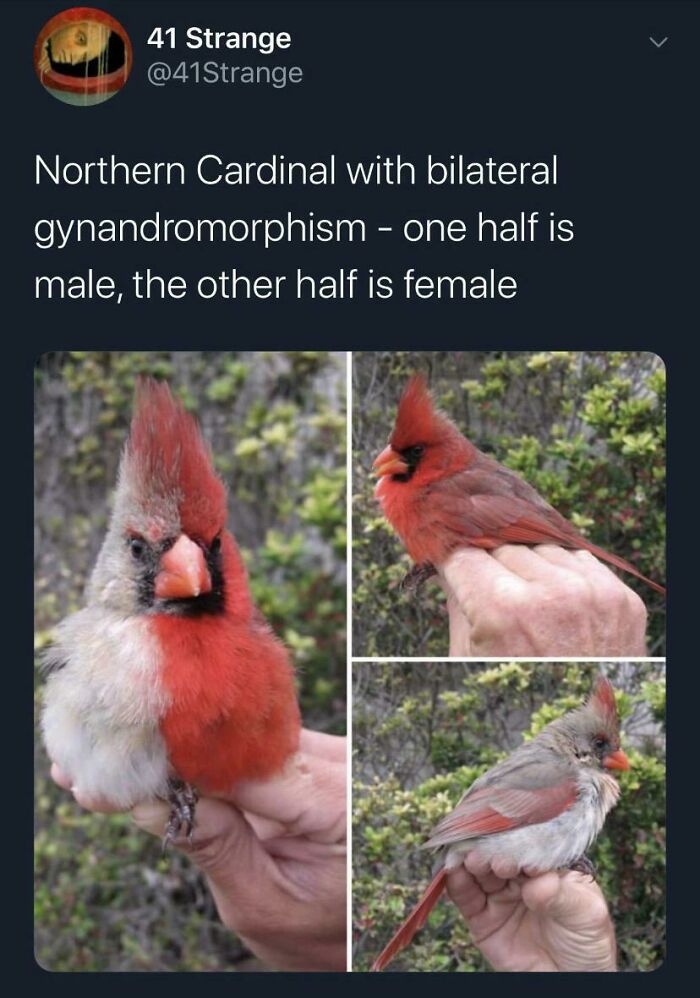 91 Real-Life Glitches In The Matrix That Convinced People We All Live In A Simulation 91 Real-Life Glitches In The Matrix That Convinced People We All Live In A Simulation