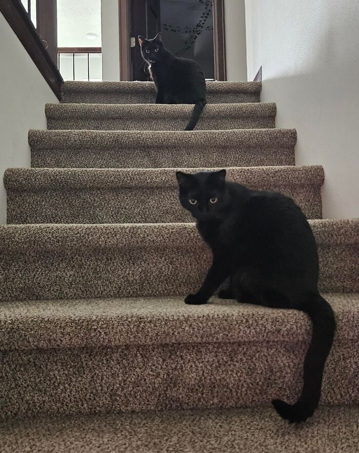 91 Real-Life Glitches In The Matrix That Convinced People We All Live In A Simulation 91 Real-Life Glitches In The Matrix That Convinced People We All Live In A Simulation