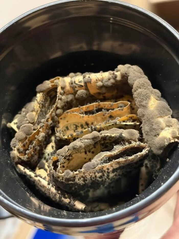 60 People Who Woke Up Expecting A Normal Day And Got This Instead (New Pics) 60 People Who Woke Up Expecting A Normal Day And Got This Instead (New Pics)