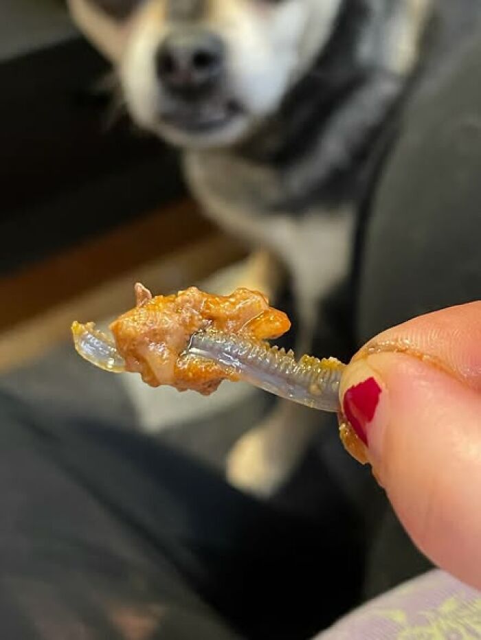 60 People Who Woke Up Expecting A Normal Day And Got This Instead (New Pics) 60 People Who Woke Up Expecting A Normal Day And Got This Instead (New Pics)