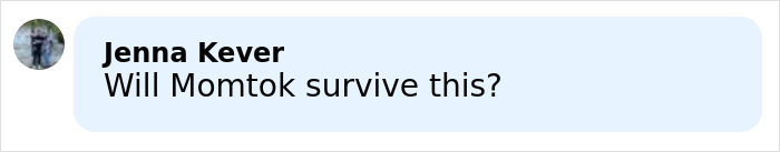 Hilary Duff’s Husband Viciously Trolls Ashley Tisdale After “Toxic” Mom Group Drama Goes Viral