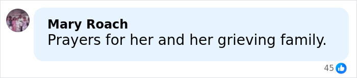 Mom Of A 6-Year-Old Identified As Woman Slain By ICE In Her Car In Minneapolis