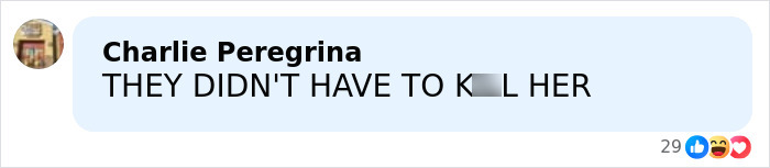 Mom Of A 6-Year-Old Identified As Woman Slain By ICE In Her Car In Minneapolis