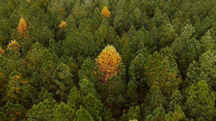 36 Uplifting Stories Of Progress And Hope In America That Go Beyond The Negative Headlines 36 Uplifting Stories Of Progress And Hope In America That Go Beyond The Negative Headlines
