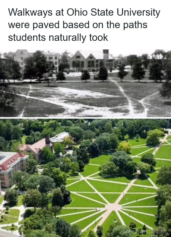 94 &ldquo;Desire Paths&rdquo; That Show How Cities Plan In Theory &mdash; And People Walk In Reality (New Pics)