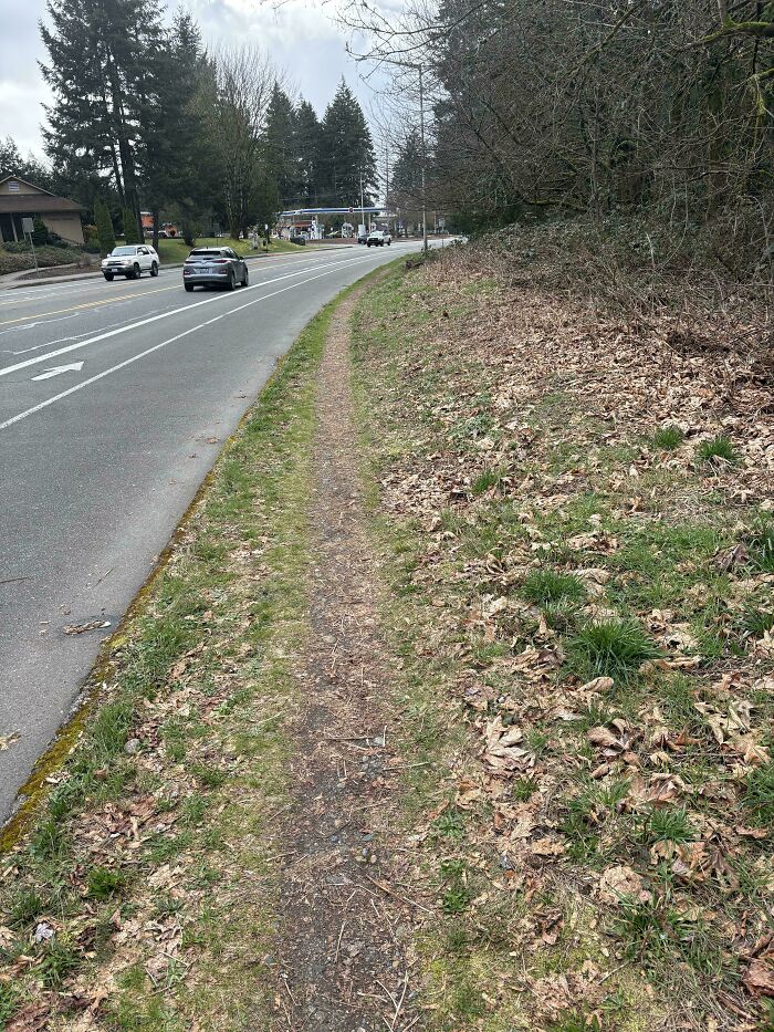 94 &ldquo;Desire Paths&rdquo; That Show How Cities Plan In Theory &mdash; And People Walk In Reality (New Pics)