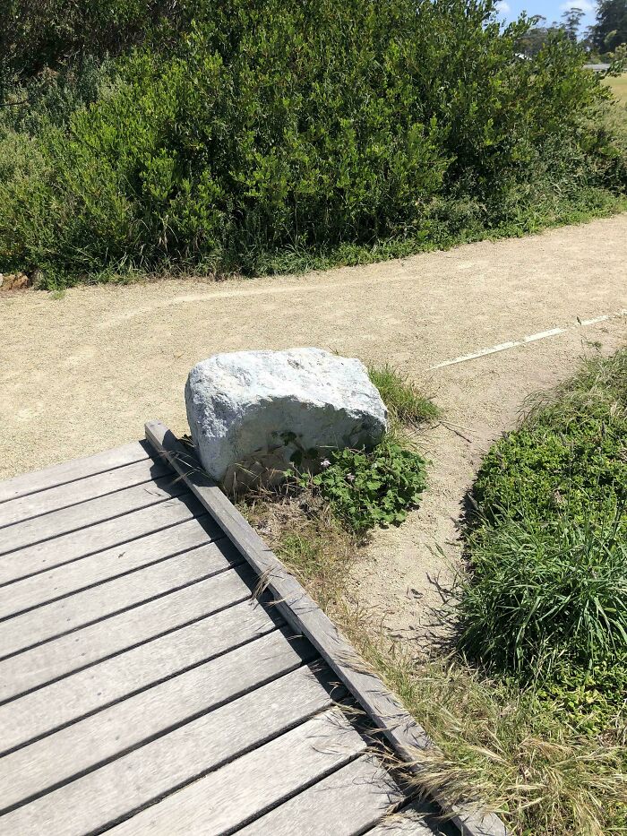 94 &ldquo;Desire Paths&rdquo; That Show How Cities Plan In Theory &mdash; And People Walk In Reality (New Pics)