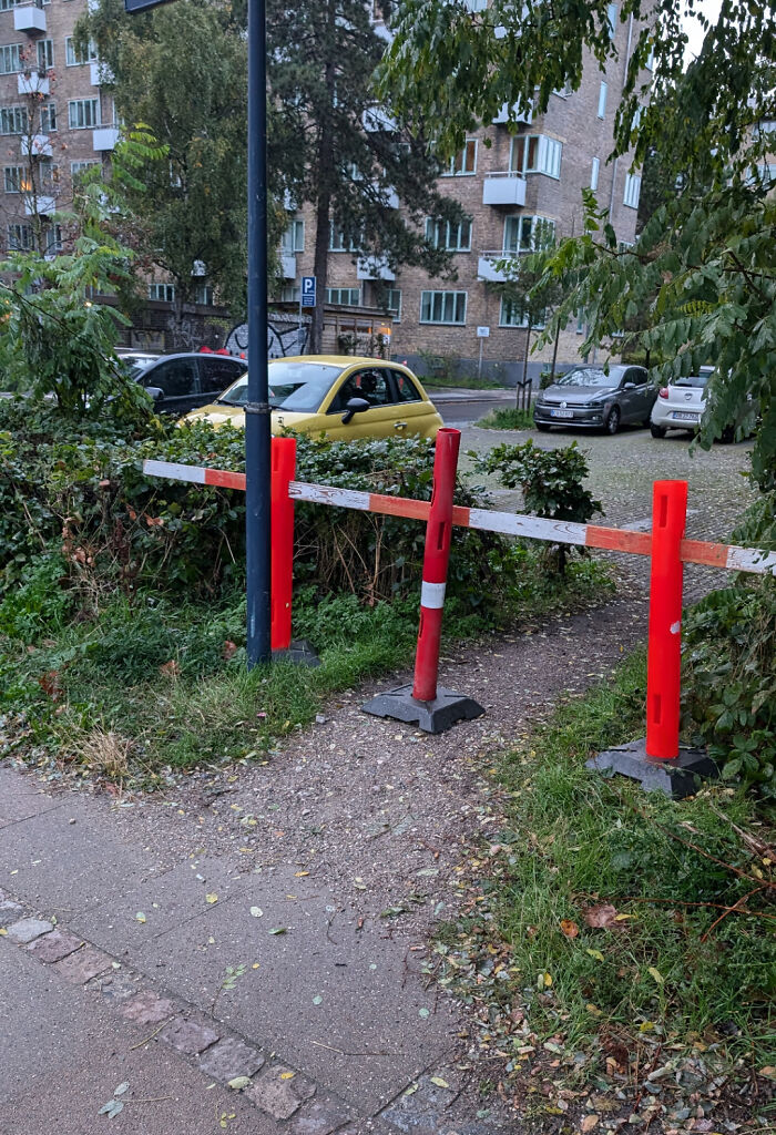 94 &ldquo;Desire Paths&rdquo; That Show How Cities Plan In Theory &mdash; And People Walk In Reality (New Pics)