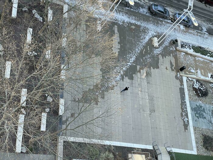 94 &ldquo;Desire Paths&rdquo; That Show How Cities Plan In Theory &mdash; And People Walk In Reality (New Pics)