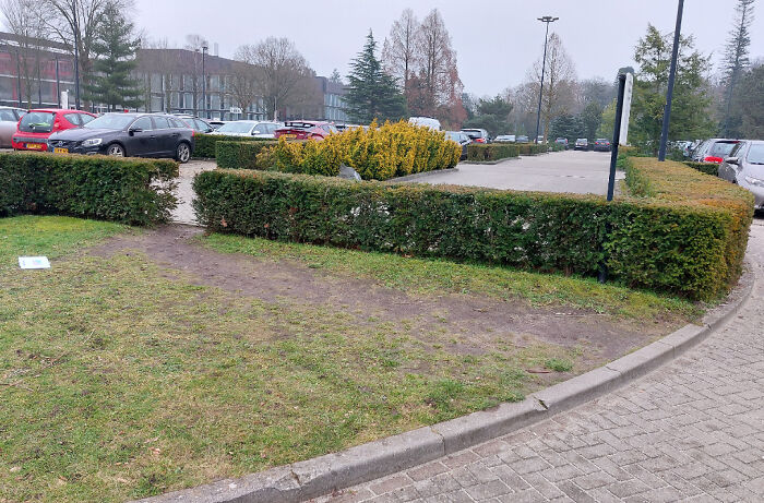 94 &ldquo;Desire Paths&rdquo; That Show How Cities Plan In Theory &mdash; And People Walk In Reality (New Pics)