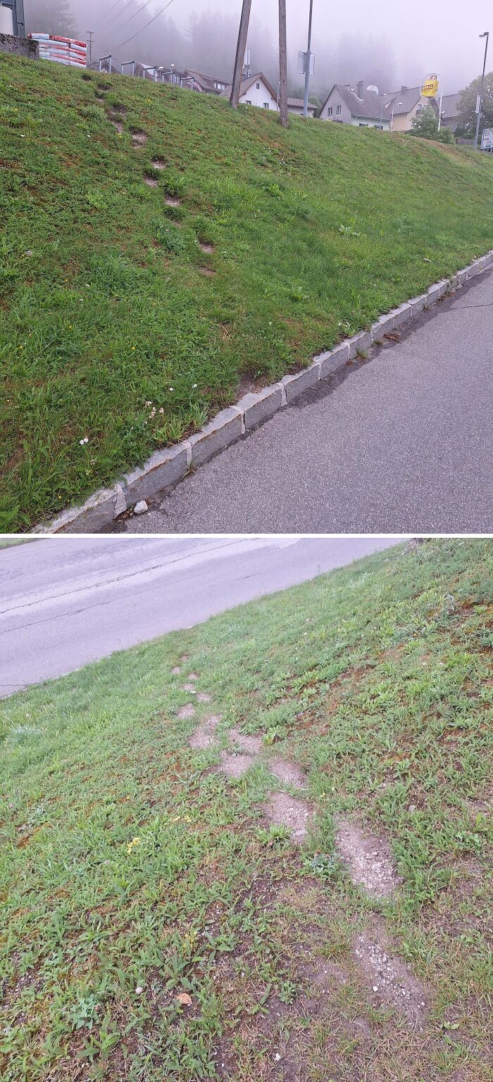 94 &ldquo;Desire Paths&rdquo; That Show How Cities Plan In Theory &mdash; And People Walk In Reality (New Pics)
