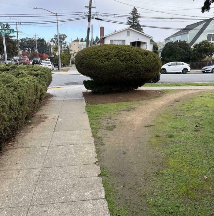 94 &ldquo;Desire Paths&rdquo; That Show How Cities Plan In Theory &mdash; And People Walk In Reality (New Pics)
