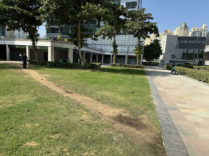94 &ldquo;Desire Paths&rdquo; That Show How Cities Plan In Theory &mdash; And People Walk In Reality (New Pics)
