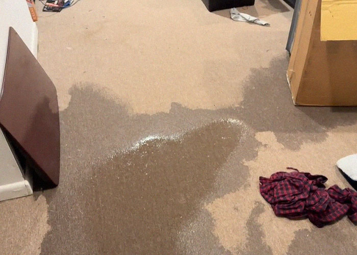 “The American Dream”: 84 Homeownership Nightmares No One Warned You About “The American Dream”: 84 Homeownership Nightmares No One Warned You About